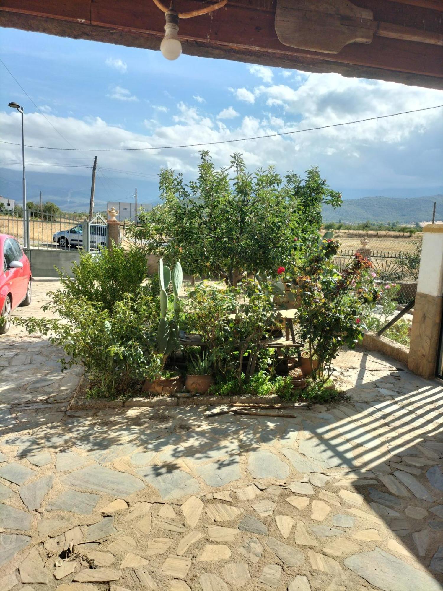 Casa Detres 1 Vakantiehuis *